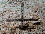 Alfred D'Cunha Poona Christian Cemetry